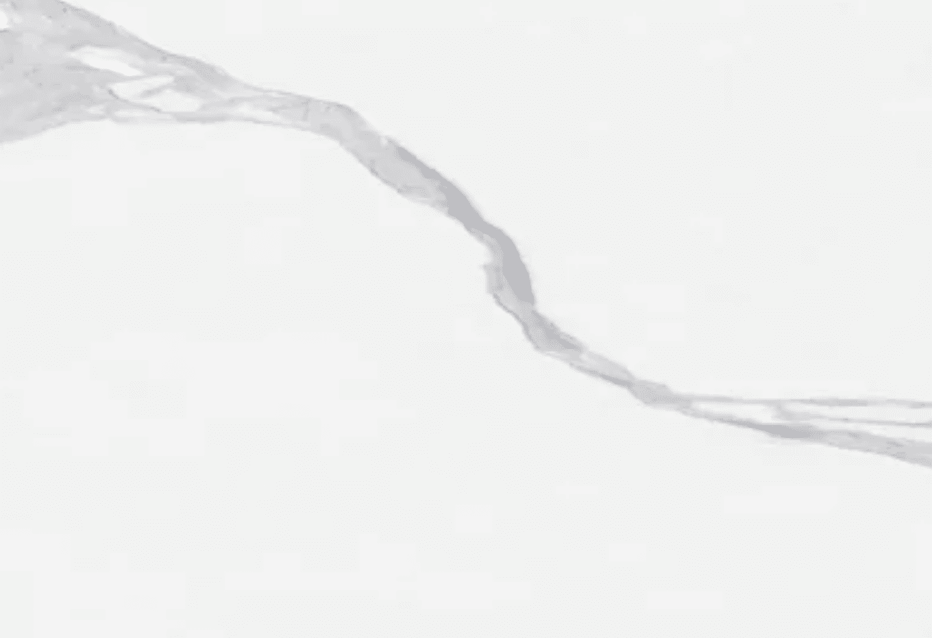 Artic White