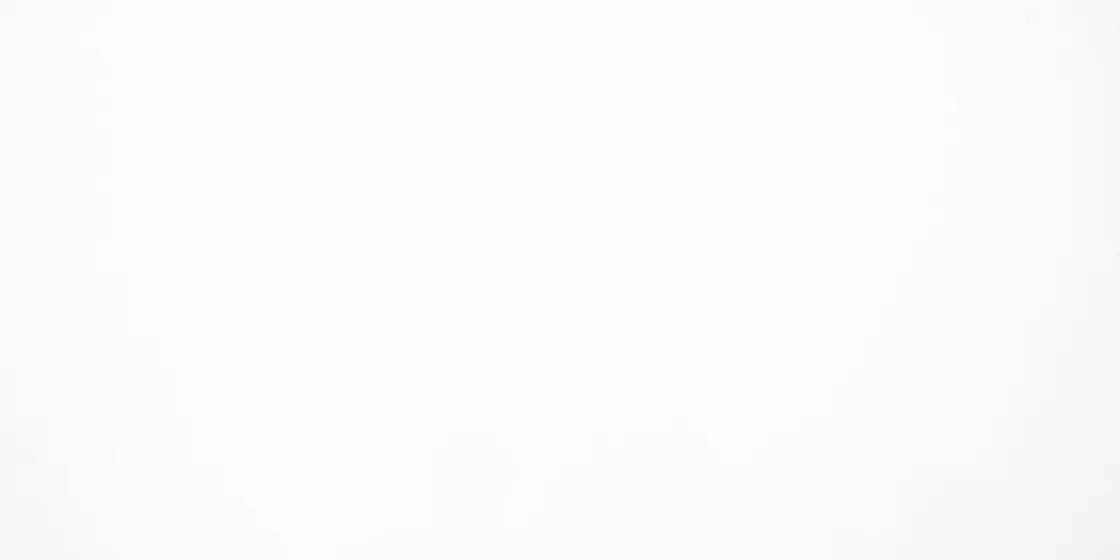 Blanco Icon