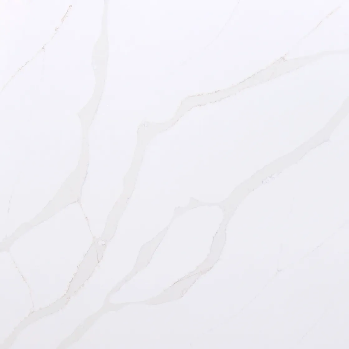 Calacatta Gold